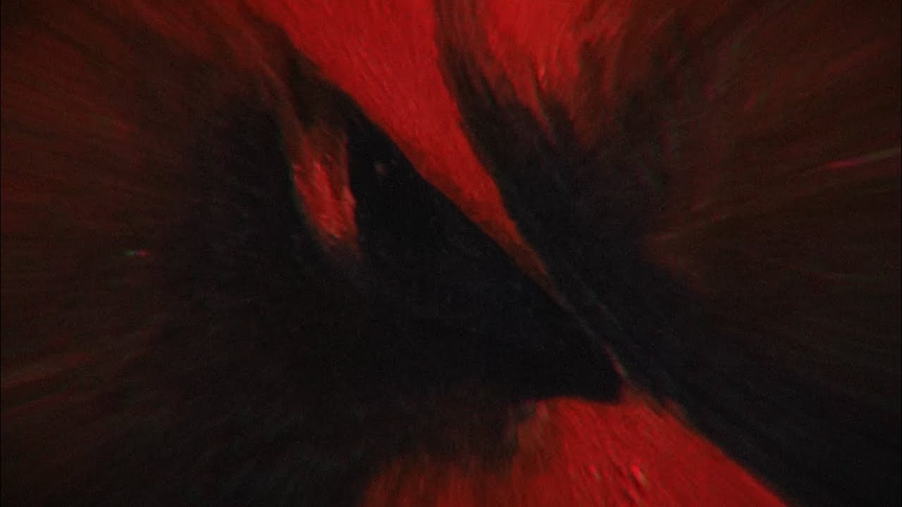 Hecktic - Unbeholden
